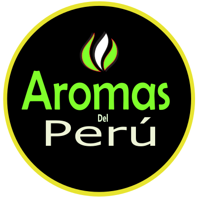 comida peruana a domicilio santiago centro